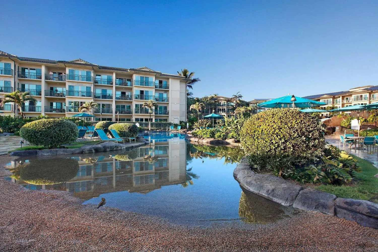 Waipouli Beach Resort H301 Wailua  United States